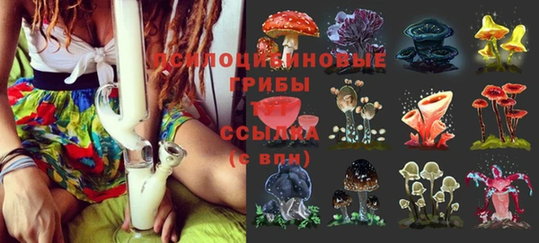 бошки Абаза